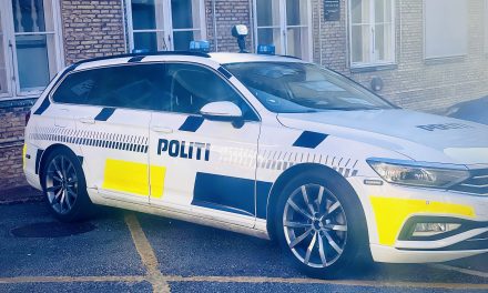 22-årig fuld på Viborgvej