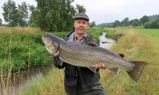 Lystfisker lander kæmpe fisk i Lilleåen: »Det bliver ikke meget større«