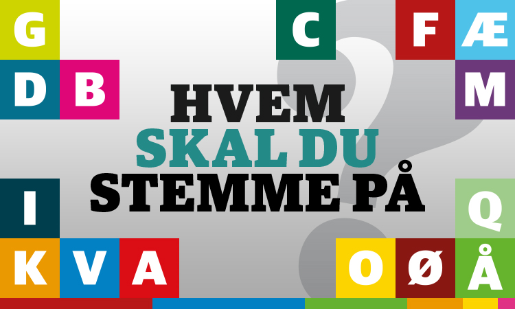 Folketingskandidater får ordet: Hvad er din holdning til klimabroen?