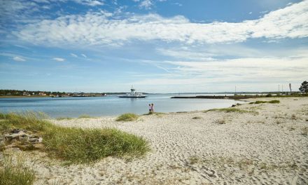 DMI advarer om hedebølge og 29 grader