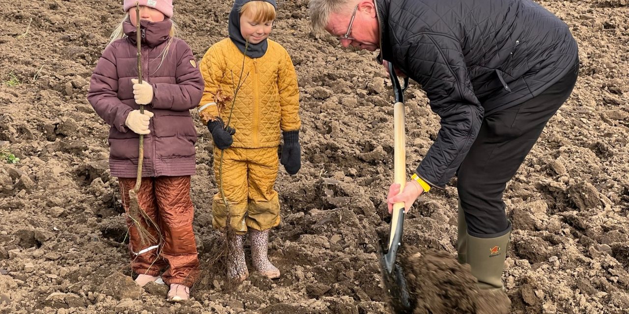 De første træer er plantet i Randers Kommunes to nye klimaskove