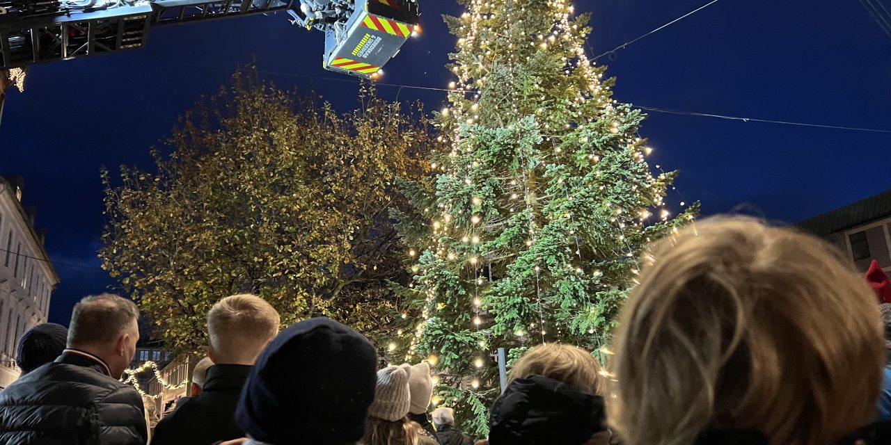 Juletræstænding på Rådhustorvet er fredag