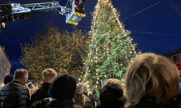 Juletræstænding på Rådhustorvet er fredag