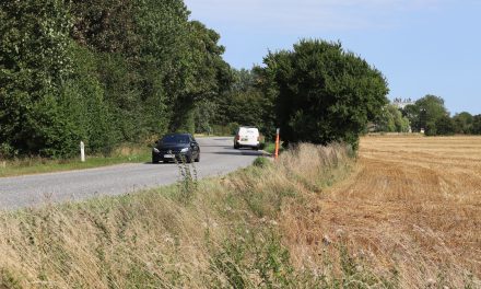 Cykelstier er blevet næsten dobbelt så dyre