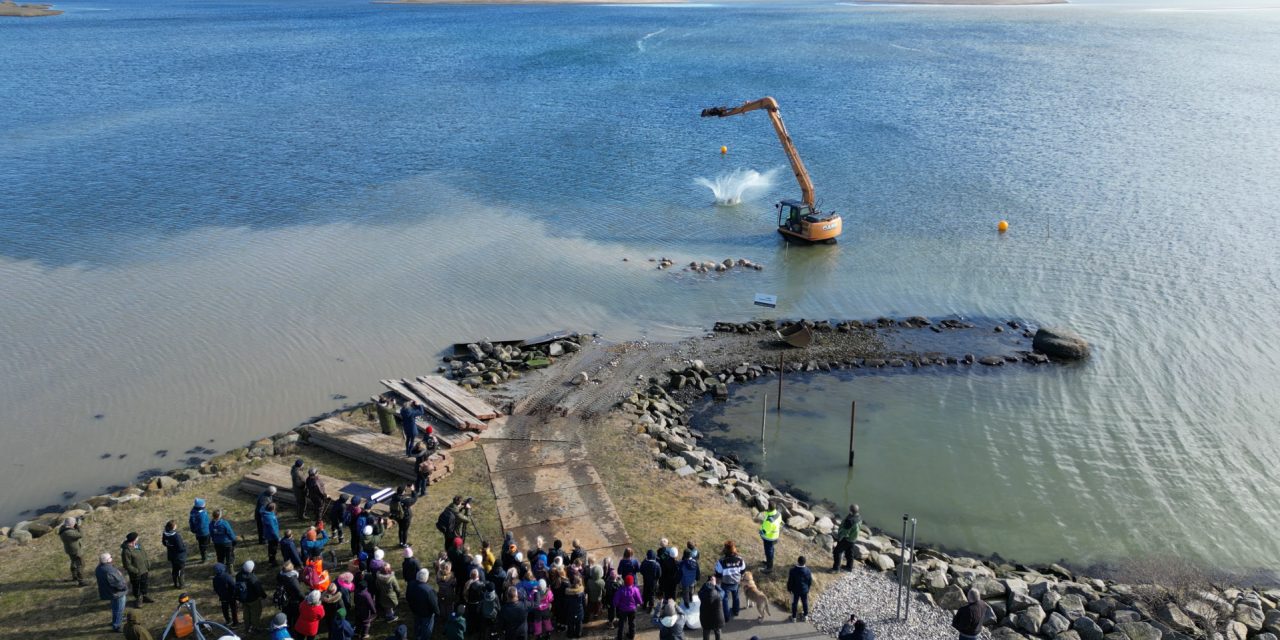 Sten i Randers Fjord skal få dyr og planter til at trives