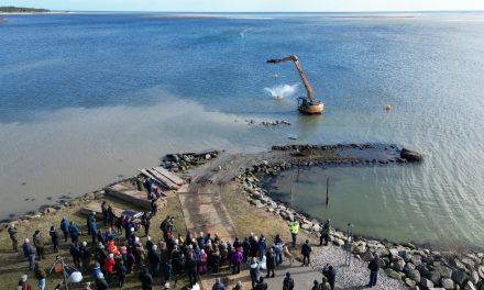 Sten i Randers Fjord skal få dyr og planter til at trives