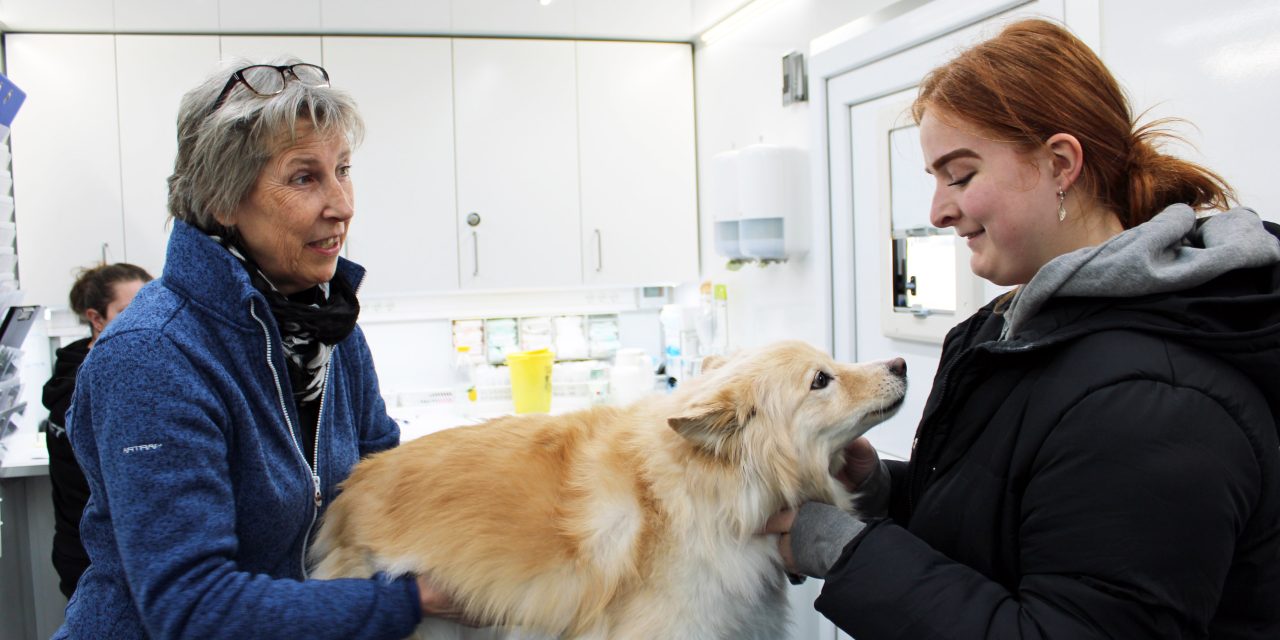 Frynseklinikken hjalp hunden Fanta