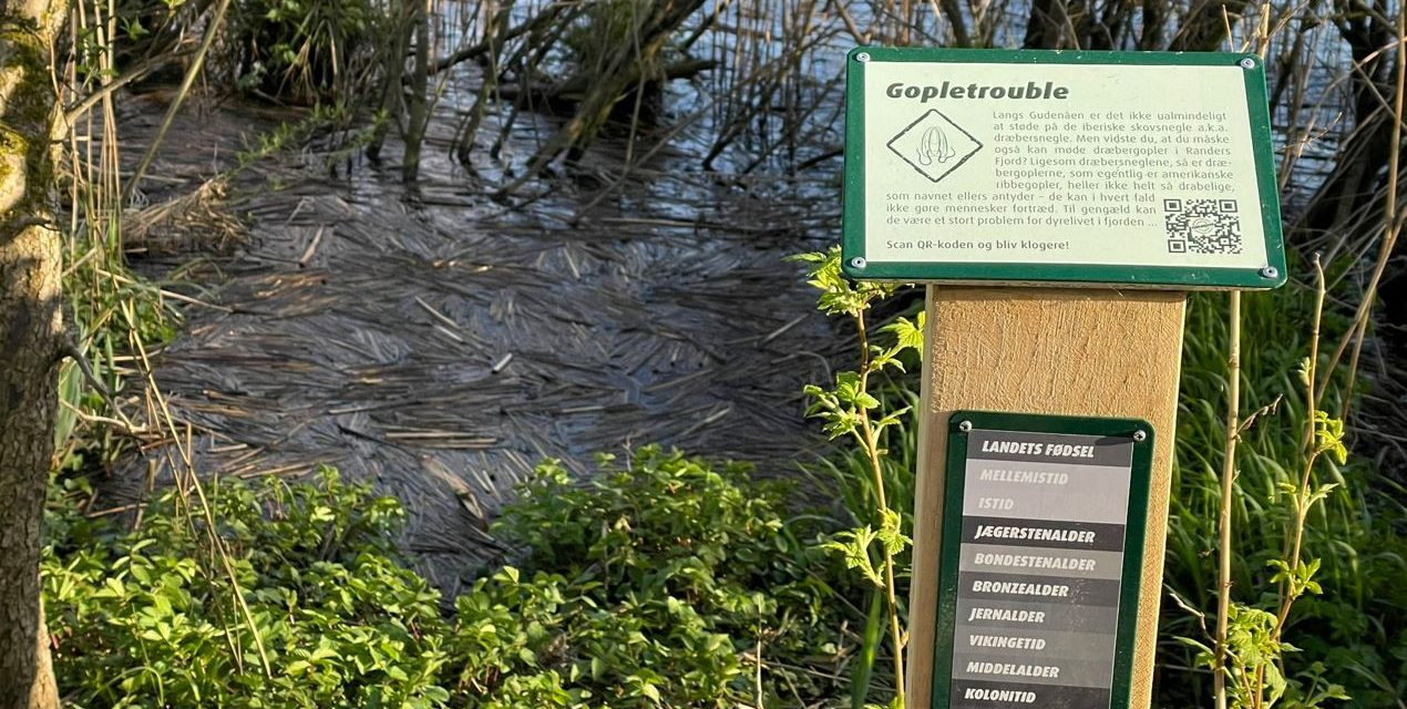 Ungdommen kommer til Gudenåen: »Vi vil gerne gøre det mere hipt at opleve naturen«