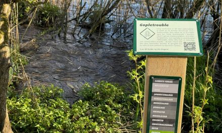 Ungdommen kommer til Gudenåen: »Vi vil gerne gøre det mere hipt at opleve naturen«