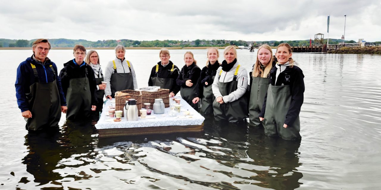 Sommerkonkurrence: Vind gavekort