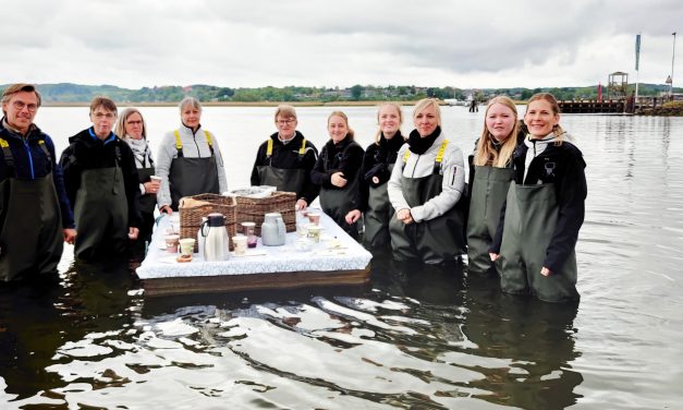 Sommerkonkurrence: Vind gavekort