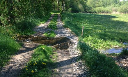 Sommerferie: Tag på tidsrejse med Randers Naturcenter