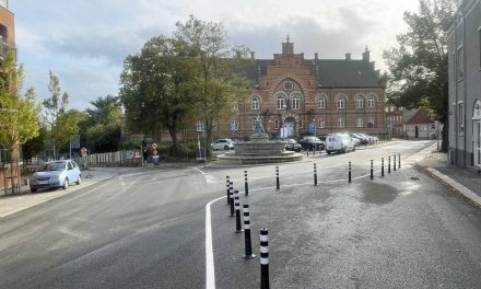 Pullertmareridt: Fem minutters foto: Biler ved springvand er svære at styre