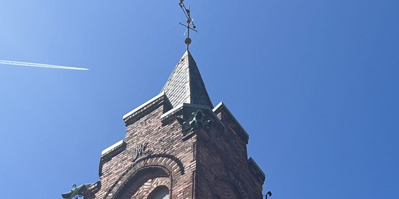 Efteråret giver fantastiske muligheder for at kigge op