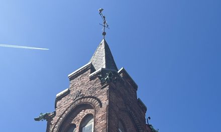 Efteråret giver fantastiske muligheder for at kigge op