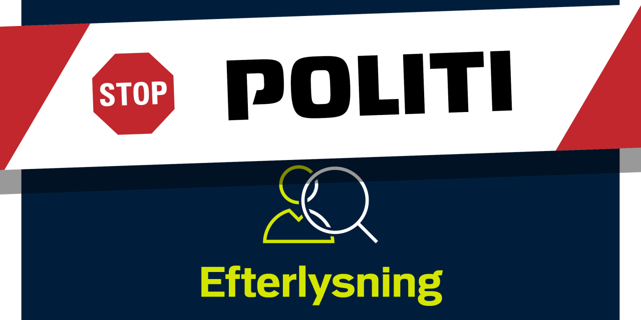 Politiet efterlyser vidner: Mand og kvinde satte stopper for overfald