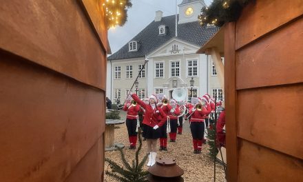 Overblik: Her er julemarkederne