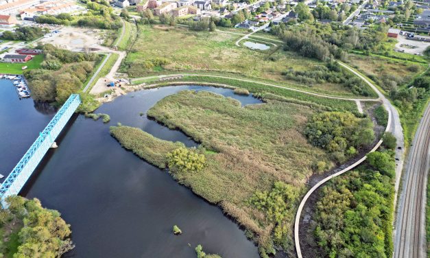 Storkeengen: Regnvandsbassin forklædt som vandrestier og engareal