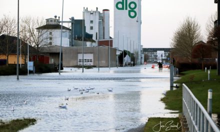 Se billederne: Vandet indtager Randers