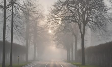 Lidt sol, lidt regn og – med lidt held – tocifrede varmegrader