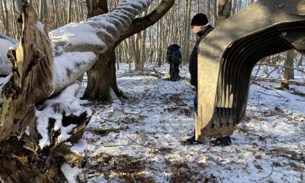 Ikonisk skulptur ender sin lange rejse på Krakamarken