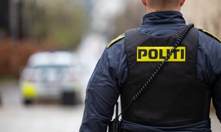 Grov vold og vidnetrusler: Så dukkede politiet op