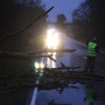 LIGE NU: Stormstød af orkanstyrke – væltede træer på stribe