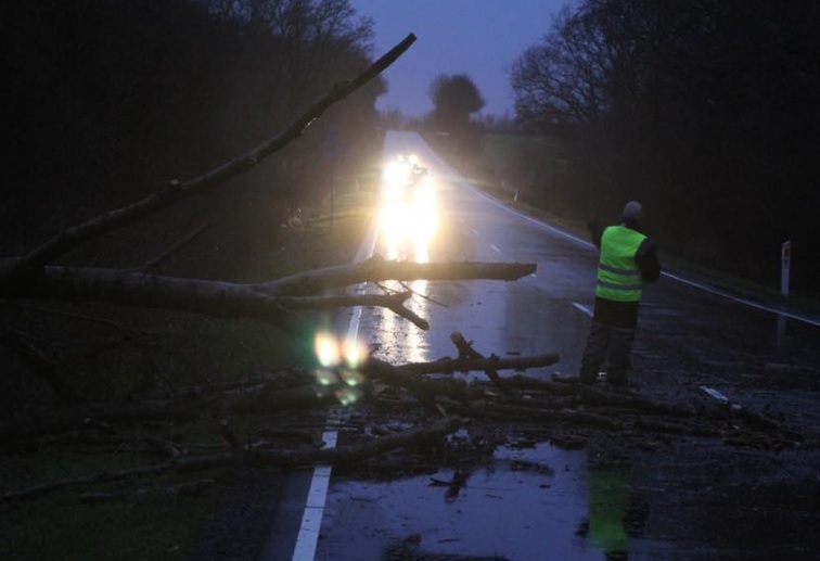 LIGE NU: Stormstød af orkanstyrke – væltede træer på stribe