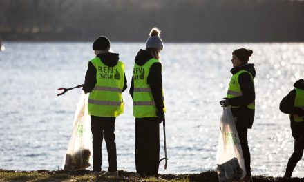 Nu skal du slå til: Hold naturen ren og tjen penge