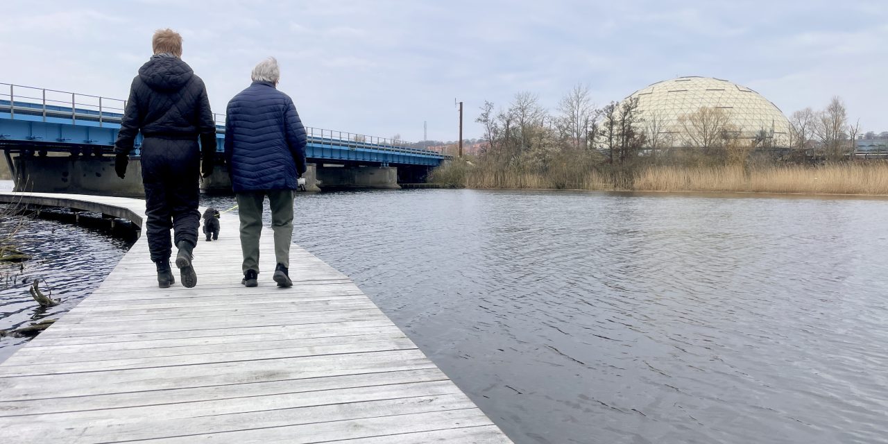 Farvel gelænder: Politikere vælger naturens tilgang