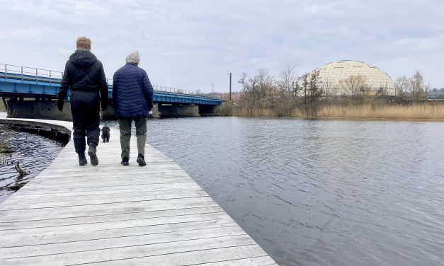 Farvel gelænder: Politikere vælger naturens tilgang