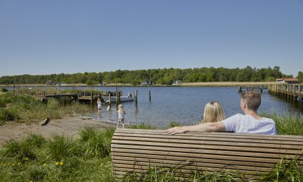 Sejlads og en hel landsby, der bliver til madmarked: Naturparken folder sig ud på Fjordens Dag