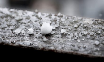 En uge med sol, hagl og torden: Først denne dag bliver det godt