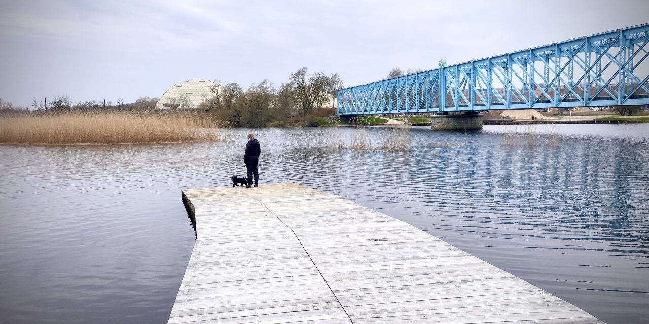 Kommentar: Storkeengen er det nye åndehul