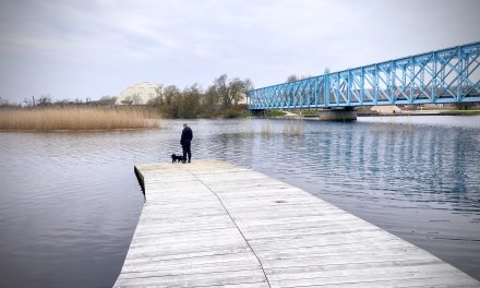 Kommentar: Storkeengen er det nye åndehul