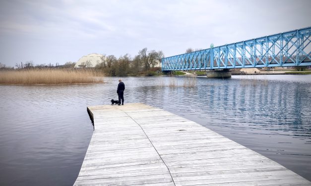 Kommentar: Storkeengen er det nye åndehul