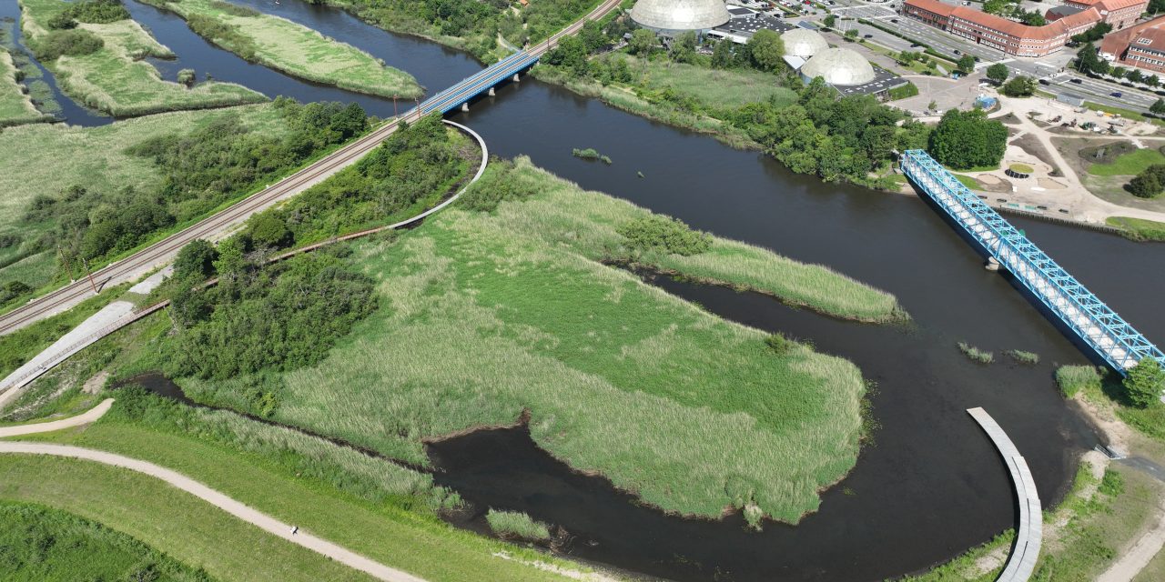 Storkeengen: En cirkel af træ forsvandt fra Randers nyeste naturperle