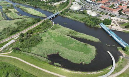 Storkeengen: En cirkel af træ forsvandt fra Randers nyeste naturperle