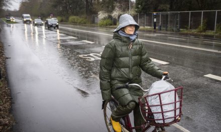 DMI advarer: »Gader og stræder kan stå under vand«