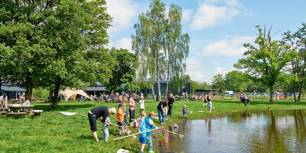 Undersøg naturen og lav din egen shampoo på Randers Naturcenter i sommerferien