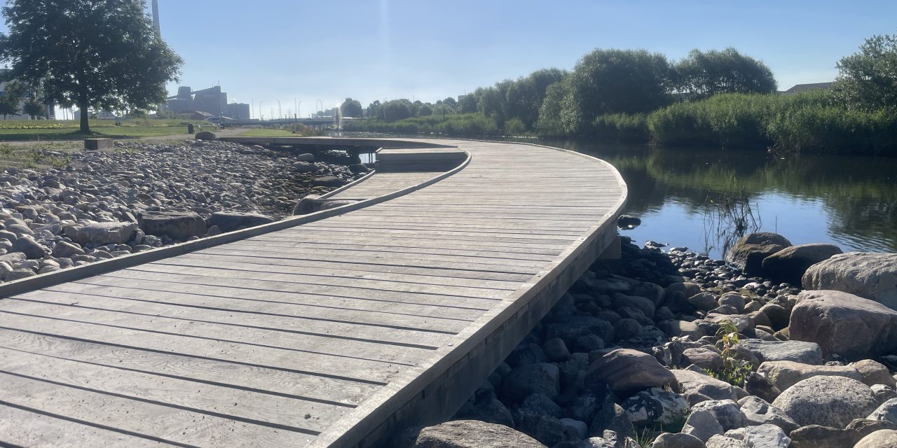 Justesens Plæne indvies med gummiænder i Gudenåen