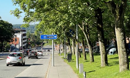 Parkering: En tredjedel af P-pladser i midtbyen står ledige