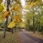 Klar til efterår? Sådan bliver weekend-vejret