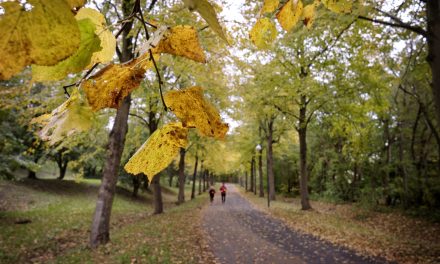 Klar til efterår? Sådan bliver weekend-vejret