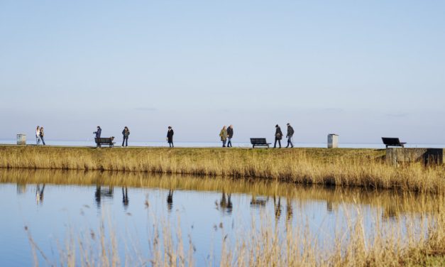 Lun og tør weekend med morgentåge