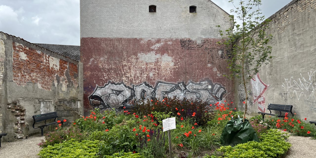 Kig op: Makværk eller kunst – hvad synes du om byens graffiti?