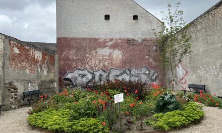 Kig op: Makværk eller kunst – hvad synes du om byens graffiti?