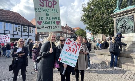 Store protester på Rådhustorvet: »Red vores børn og ældre«