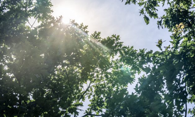 Solrig og tør mandag – og en rigtig varm tirsdag