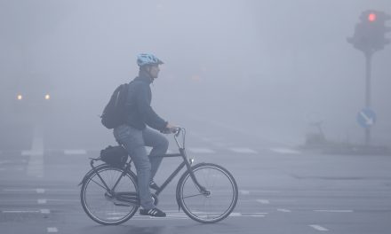 Randers indhyllet i tåge: Så lidt kan du se